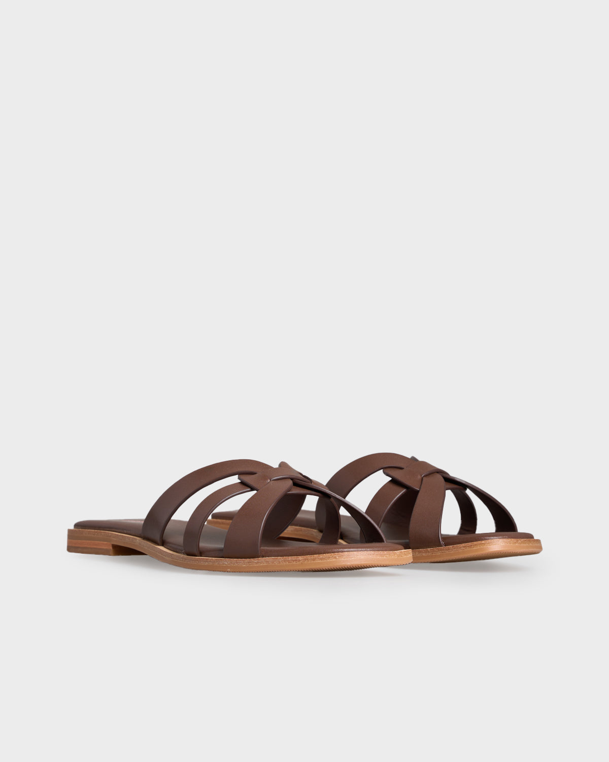 #color_dark brown