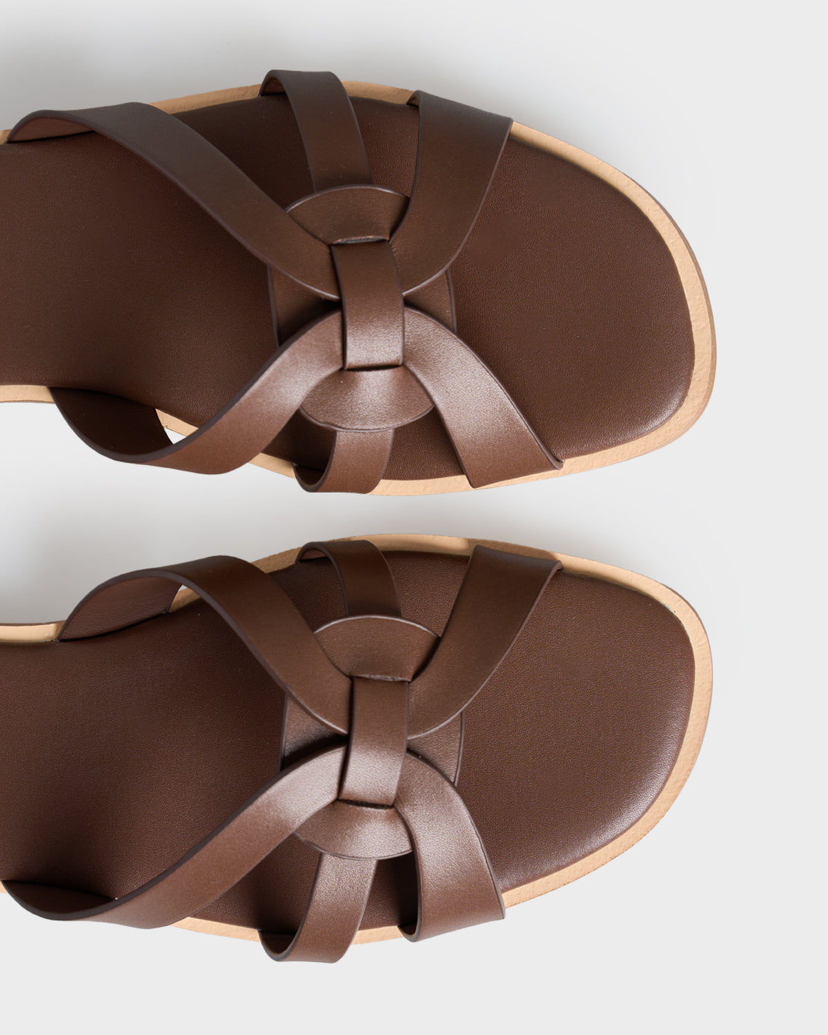 #color_dark brown